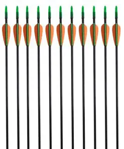 vidaXL Standard Recurve Bow Arrows 30″ 0.6 cm Fiberglass 12 pcs