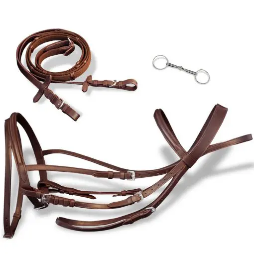 vidaXL Leather Flash Bridle with Reins and Bit Brown Pony