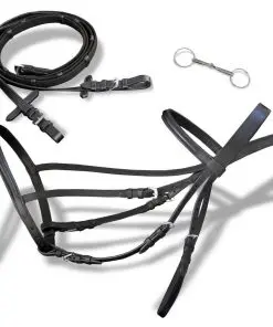 vidaXL Leather Flash Bridle with Reins and Bit Black Pony