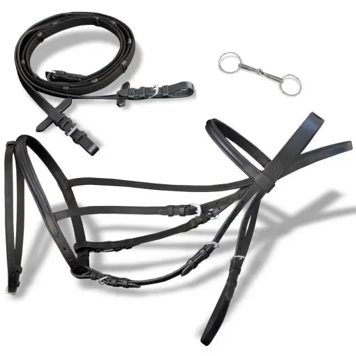 vidaXL Leather Flash Bridle with Reins and Bit Black Cob