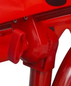 vidaXL Kids Swing Seat Red