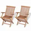 vidaXL Folding Garden Chairs 2 pcs Solid Teak Wood