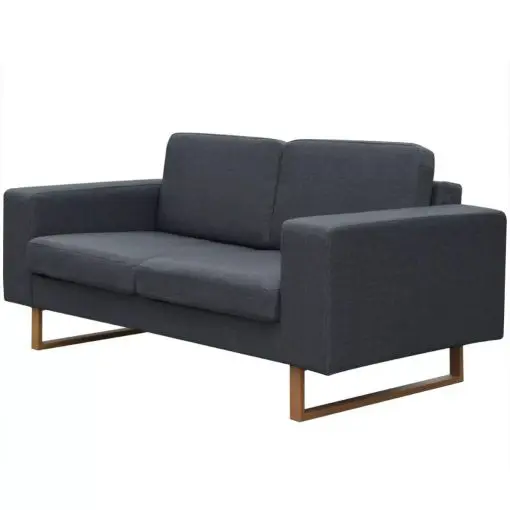 vidaXL 2-Seater Sofa Fabric Dark Grey