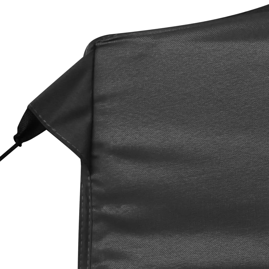vidaXL Professional Folding Party Tent with Walls Aluminium 6×3 m Anthracite