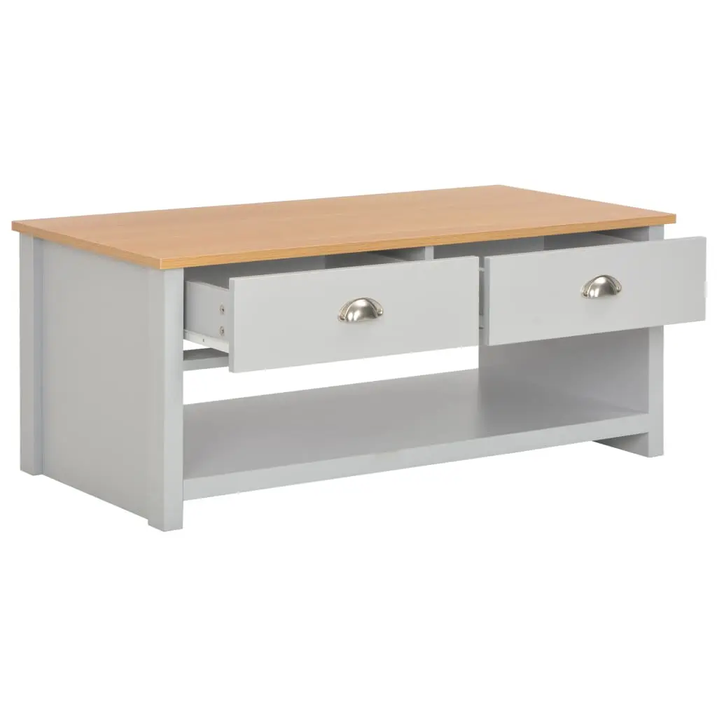 vidaXL Coffee Table Grey 100x50x42 cm