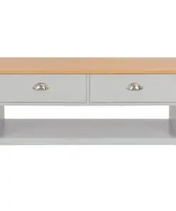 vidaXL Coffee Table Grey 100x50x42 cm