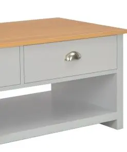 vidaXL Coffee Table Grey 100x50x42 cm