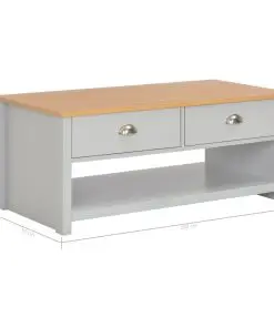 vidaXL Coffee Table Grey 100x50x42 cm