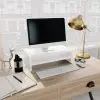 vidaXL Monitor Stand High Gloss White 42x24x13 cm Chipboard