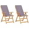 vidaXL Reclining Garden Chairs 2 pcs Brown Solid Acacia Wood