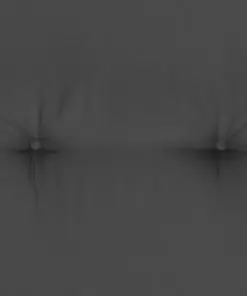 vidaXL Garden Chair Cushions 2 pcs Anthracite 120x50x5 cm