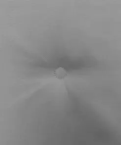 vidaXL Garden Chair Cushions 2 pcs Grey 50x50x3 cm