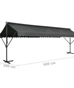 vidaXL Free Standing Awning 600×300 cm Anthracite