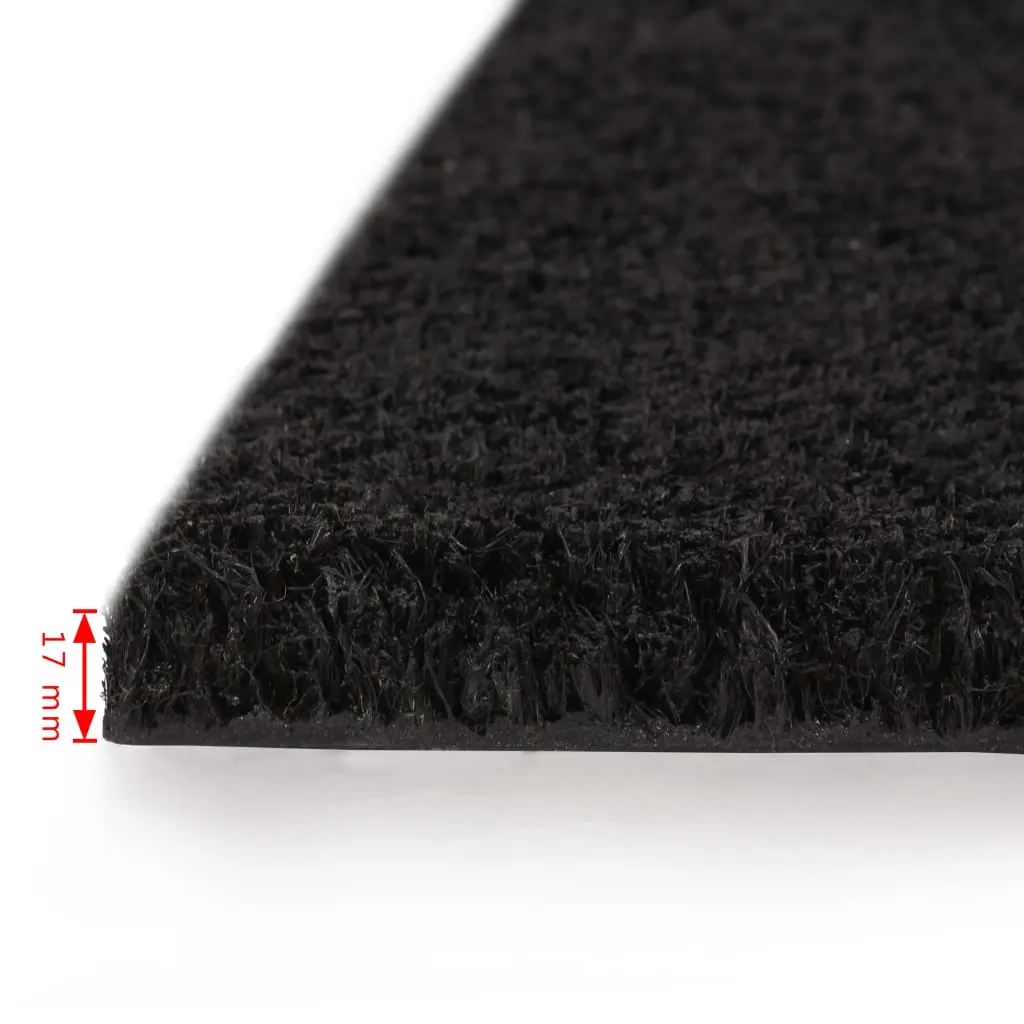 vidaXL Doormat Coir 17 mm 190×200 cm Black