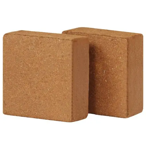 vidaXL Coir Blocks 2 pcs 5 kg 30x30x10 cm