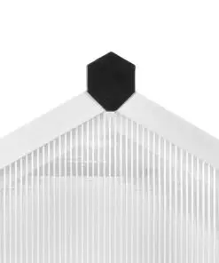 vidaXL Greenhouse Aluminium 421x190x195 cm 15.6 m?