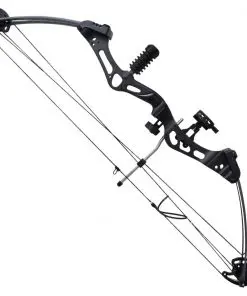 vidaXL Adult Compound Bow with Accessories and Fiberglass Arrows