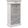 vidaXL Shoe Cabinet Grey 50x28x98 cm Paulownia Wood vidaXL Shoe Cabinet Grey 50x28x98 cm Paulownia Wood