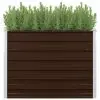 vidaXL Raised Garden Bed Brown 100x100x77 cm Galvanised Steel vidaXL Raised Garden Bed Brown 100x100x77 cm Galvanised Steel