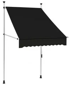 vidaXL Manual Retractable Awning 100 cm Anthracite