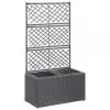 vidaXL Trellis Raised Bed with 2 Pots 58x30x107 cm Poly Rattan Black vidaXL Trellis Raised Bed with 2 Pots 58x30x107 cm Poly Rattan Black