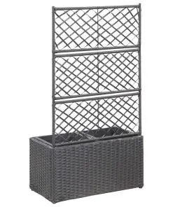 vidaXL Trellis Raised Bed with 2 Pots 58x30x107 cm Poly Rattan Black