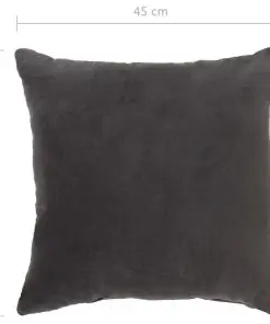 vidaXL Cushions Cotton Velvet 2 pcs 45×45 cm Anthracite