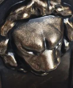vidaXL Wall Fountain Lion Head Design Bronze