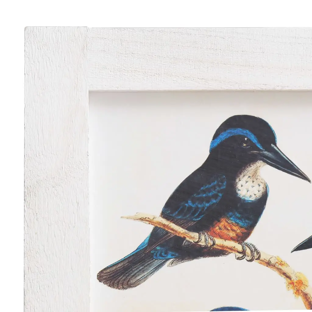 vidaXL 3-Panel Room Divider White 105×165 cm Bird