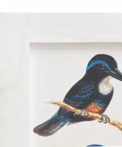 vidaXL 4-Panel Room Divider White 140×165 cm Bird