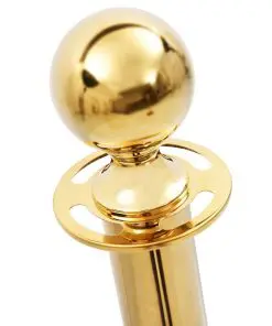 vidaXL 3 Piece VIP Queue Barrier Set Stainless Steel Gold